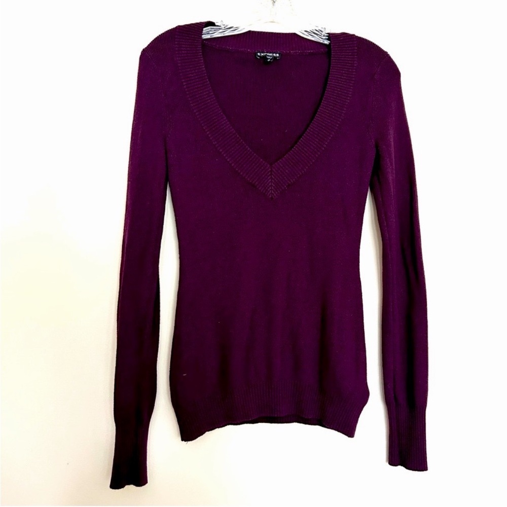 Express Women’s Deep Purple V-Neck Sweater